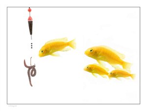 服务全方位解析
